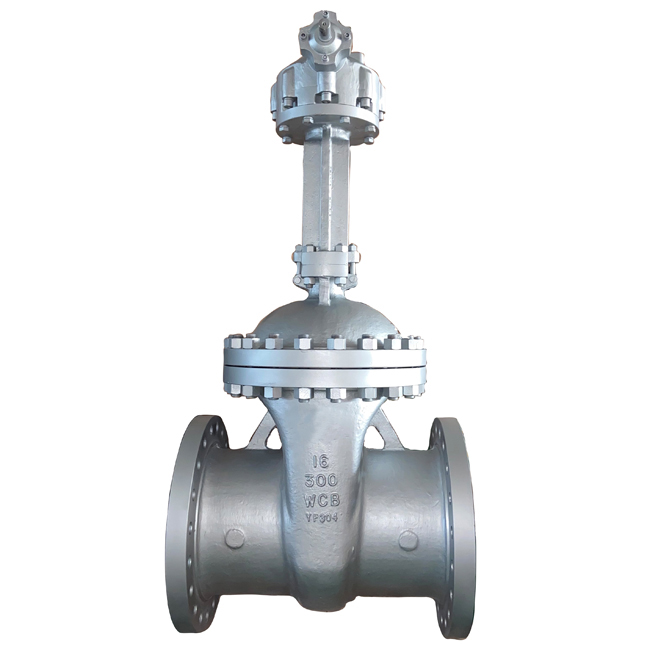 Cast steel American standard gate valve