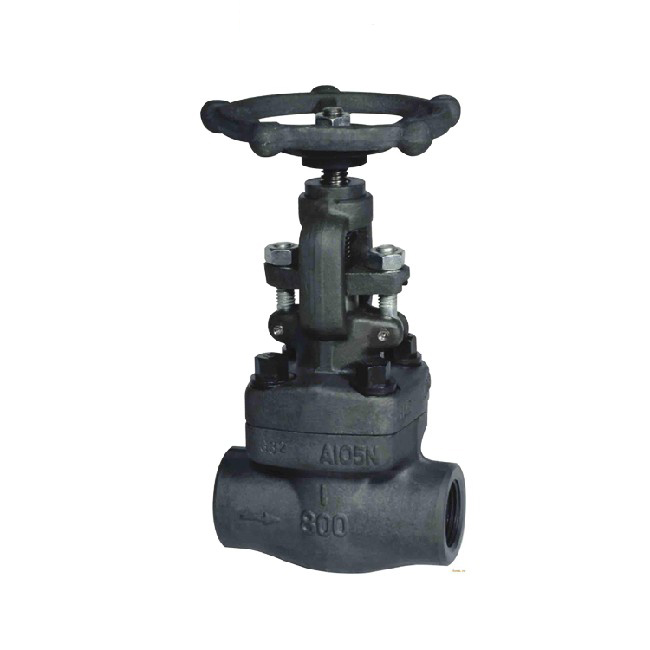 Forged steel globe valve